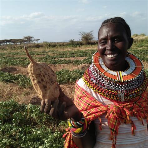 Advocacy And Agriculture In Kenya Catalystas Consulting