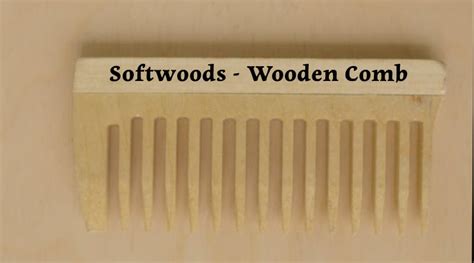 Wooden Comb – Definition, Benefits, Types, And More