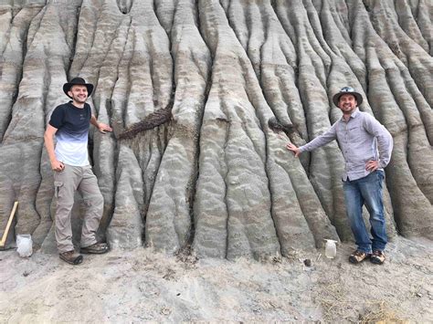 Best Preserved Dinosaur