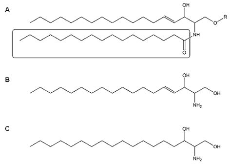 Sphingosine Backbone