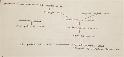 Neuro Module Cerebral Cortex Blood Supply Flashcards Quizlet