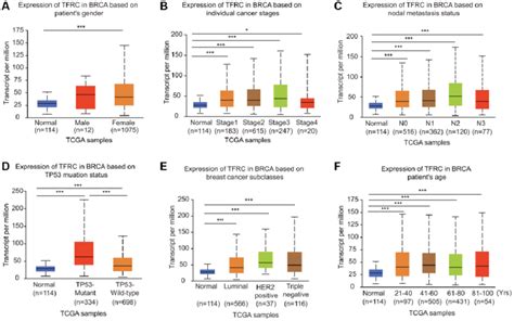 Association Of Tfr Expression With Clinicopathological Parameters Of