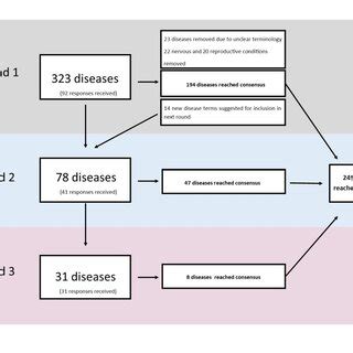 flowchart  survey methodology xmm    dpi