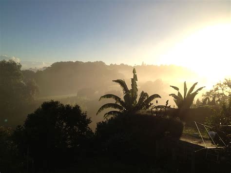 Post The View Out Of Your Back Yard Rnewzealand