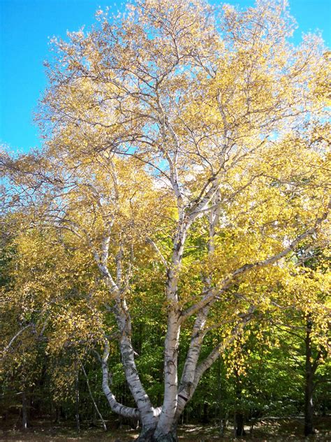 Eric's Blog: Trip to Beaver Island Michigan