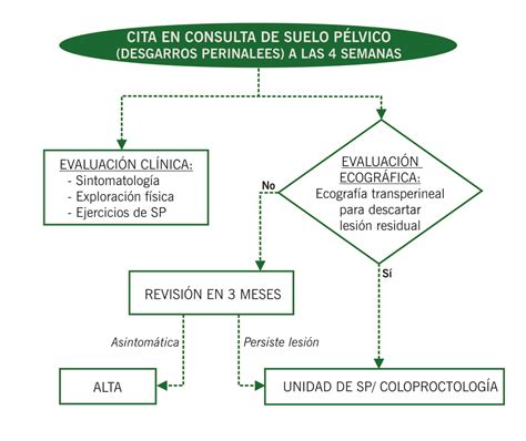Lesiones Perineales Desgarro del Esfínter Anal Manuales Clínicos