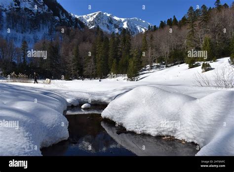 Winter Hiking On Zelengora Mountain Bosnia Stock Photo Alamy