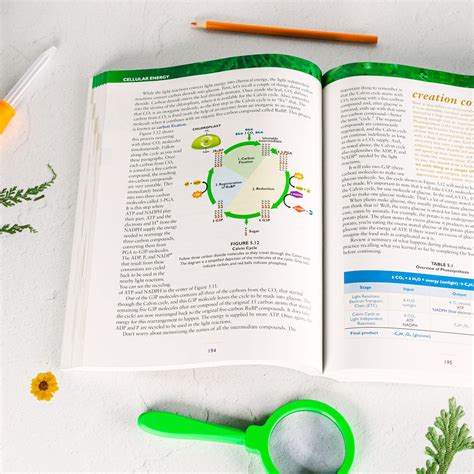 Systems Biology A Textbook 1