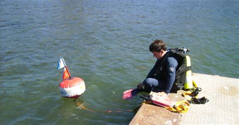 Tamarugo Dive Por Daniel Malfanti Tamarugodive Buceo En Naufragios