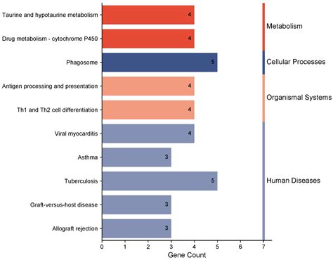 An Analysis of the Genetic Diversity, Genetic Structure, and Selection Signal of Beagle Dogs