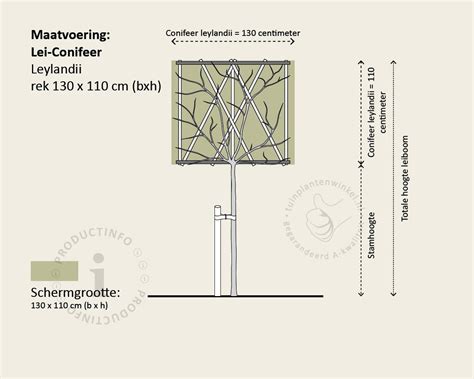 Lei Conifeer Leylandii Pakket Stuks Extras Kopen