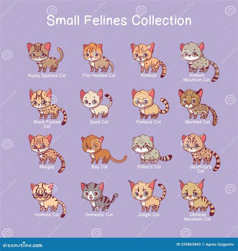 Small Feline Illustrations with Name Text Stock Vector - Illustration