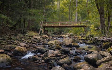 Landscape Bridge Stones Rocks Water Stream Trees Forest K Hd Nature