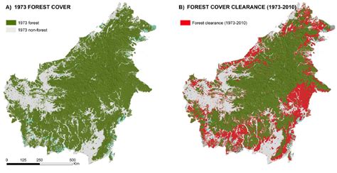 El 30 de las selvas de Borneo han sido destruidas desde el año 1973