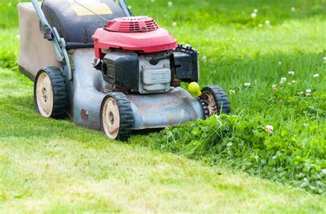 What S The Best Time Of Day To Mow Lawn