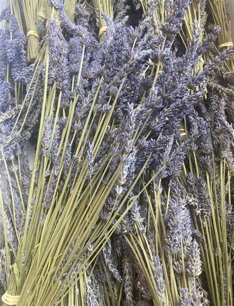 Grosso Lavender Bundles – Rainier Gardens Farm LLC