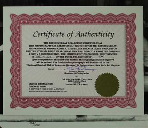 Bruce Murray Collection Babe Ruth Final Game May Th X Photo Pristine Auction