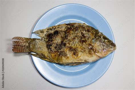 Salt Crusted Grilled Fish Horny Being Banged Pussy Grilled Fish With Salt Isolate With White