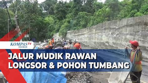 Jalur Mudik Di Gunung Gumitir Jember Rawan Longsor Dan Pohon Tumbang