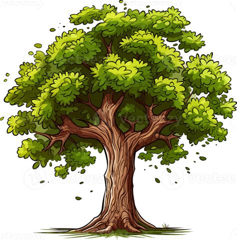 Hickory tree transparent background 24521361 PNG