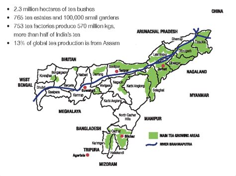 India Tea Growing State At Janetta Mary Blog