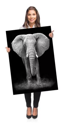 Tela Quadro Decorativo Para Sala Grande Elefante X Parcelamento