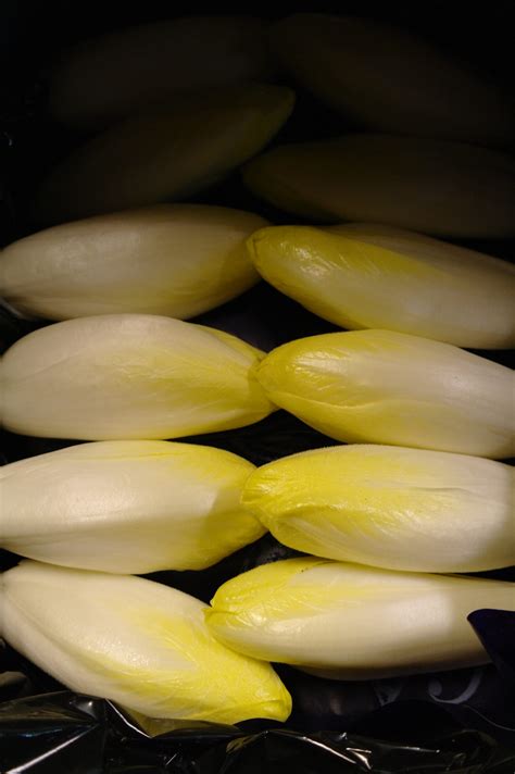 Manoline F1 - The Netherlands