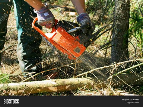 chainsaw flying  image photo  trial bigstock