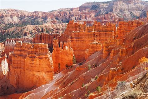 Bryce, Zion, Arches: Utah's National Parks Insider's Guide