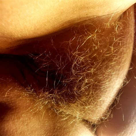 24k Gold Goddess Pussy 11 Pics XHamster