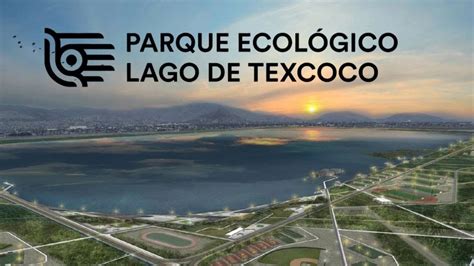 El Parque Ecológico Lago De Texcoco Podría Ser El Parque Urbano Más Grande Del Mundo Youtube