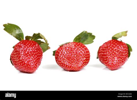 Three Red Strawberries Stock Photo Alamy