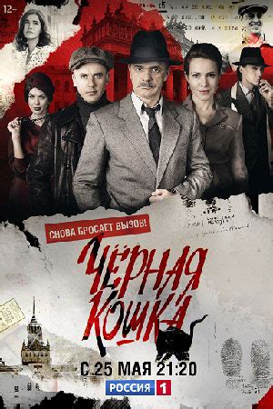Чёрная кошка (2016) - сериал - информация о фильме - российские фильмы ...