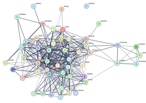 PathCards :: MAPK signaling pathway Pathway and related pathways