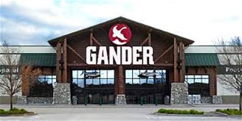 gander mountain preparing  file  bankruptcy  month sources