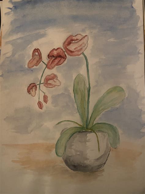 orkide - Zeitgeist Art