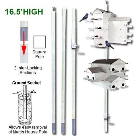 Lonestar Purple Martin House Pole System