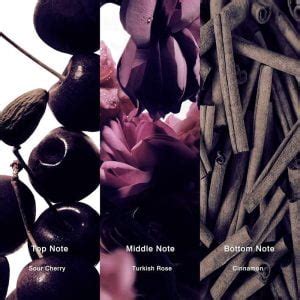 Top Tom Ford Vanilla Sex Perfume Dupe Choices