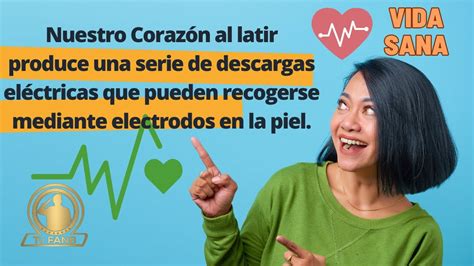 Para qué sirve un electrocardiograma El SM2 Julio César Fermín Plaza