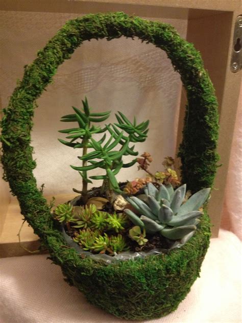 Moss Basket Planter at Douglas Sexton blog