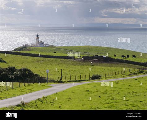Black Head from Killantringan Stock Photo - Alamy