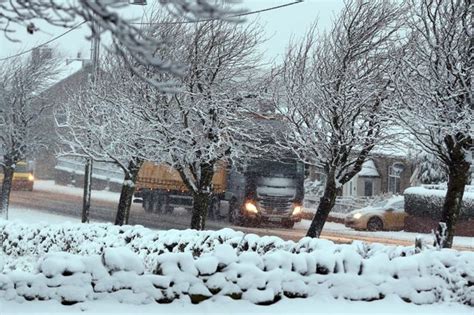 Police Hunting On The Run Sex Offender Andrew Robinson After Court No Show Chronicle Live