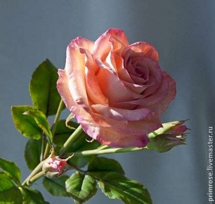 ЦАРИЦА ПЕРСИИ с бутонами. флористическая полимерная глина | Clay ...