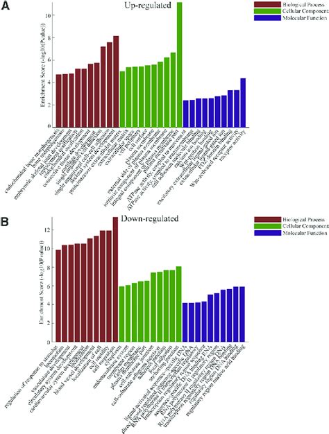 Go Analysis Of The Microrna Mrna Network A And B Go Annotation Of The Download Scientific