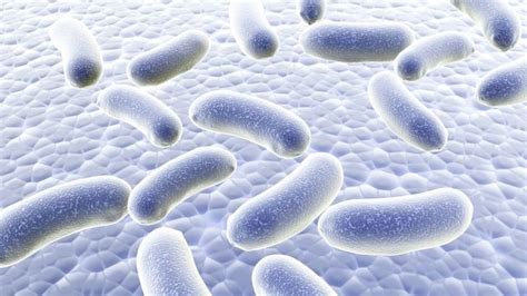 Structures Too Small To Be Easily Seen With The Naked Eye Are Quizgriz