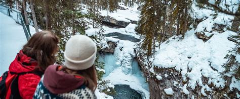 Hike Johnston Canyon Icewalk Discover Banff Tours