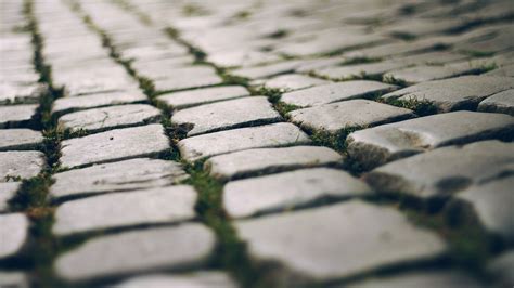 Wallpaper X Px Closeup Depth Of Field Pavements X