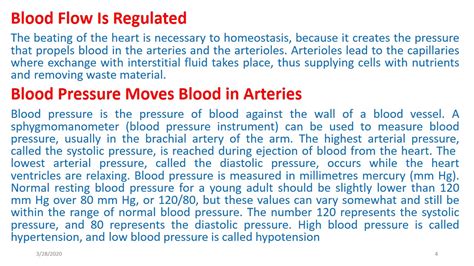 Human Biology Cardiovascular System Part Youtube