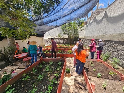 Avanza Instalaci N De Huertos Urbanos En Unidades Habitacionales De La