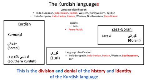 Language Revival Kurdish Writing